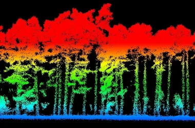 Relevé LiDAR par Drone – Modélisation 3D des Forêts Relevé LiDAR par drone d'une forêt – Scan 3D avec classification des hauteurs